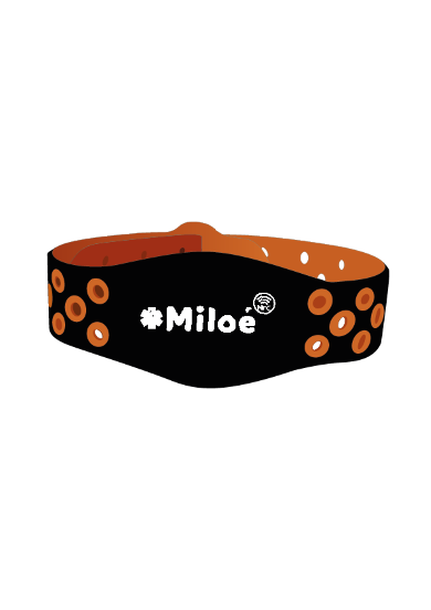 bracelet Miloé